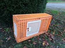 Poultry Chicken Transport