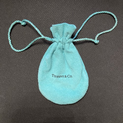 Tiffany blue suede - tiffany, pouch