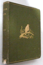 British Birds - W H Hudson