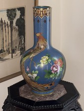 Rare golden pheasant - 15”,