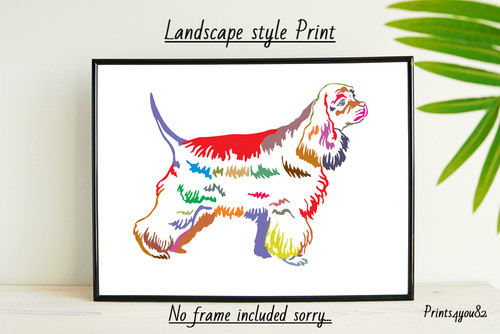 American cocker spaniel dog - ,