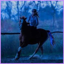 100CM Chargeable LED Horse