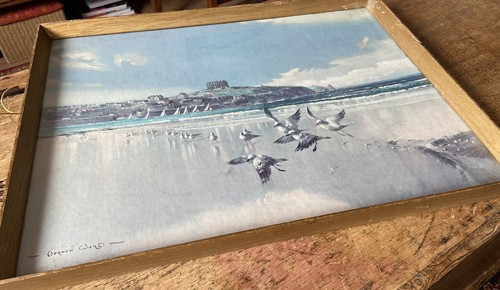 Vintage vernon ward print - vernon,