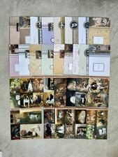 Pollyanna Pickering Dogs, Best