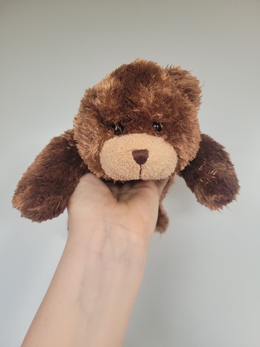 Bhs bear teddy hottie - bhs,