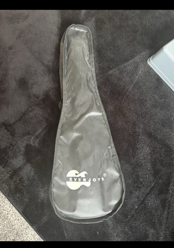 Everjoys acoustic - ev-18,