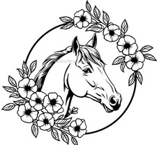 Horse Box Vinyl Decal |
