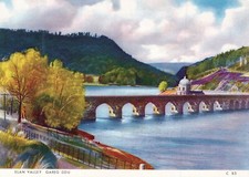 WALES POSTCARD Rhayader Gareg