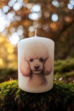 Apricot Poodle Dog Candle 8cm