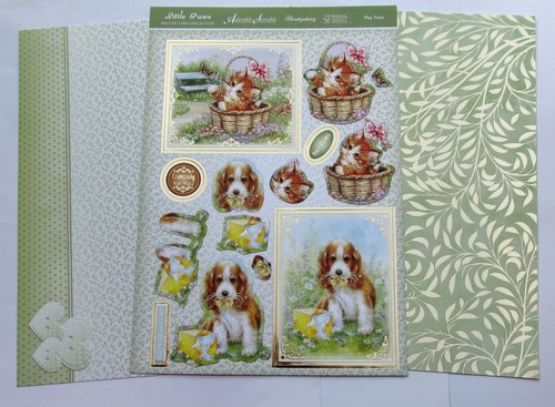 Hunkydory little paws play - little,