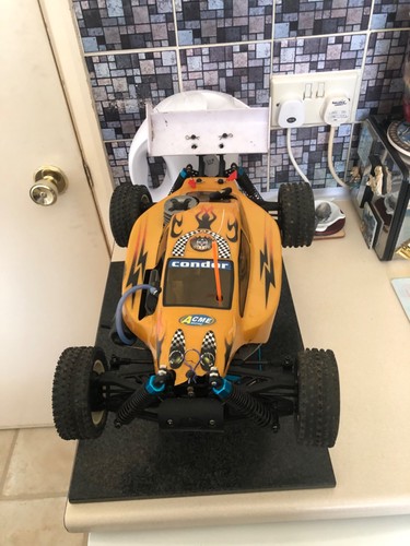 Condor nitro rc - condor, truggy