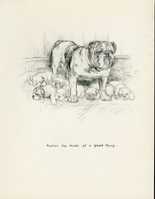Bulldog mother and pups - bulldog,
