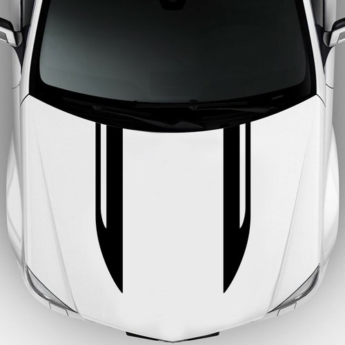 2pcs racing long stripe vinyl - 2pcs,