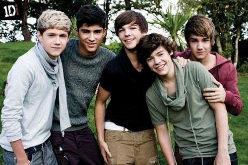 One direction garden maxi - :,
