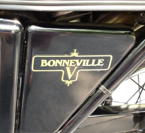 Framed bonneville side - side, panel