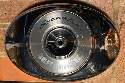 Harley davidson screaming - harley-davidson,