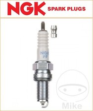 Harley-Davidson Sportster 883 XL883 2004-2009 NGK Spark Plug [DCPR7E]