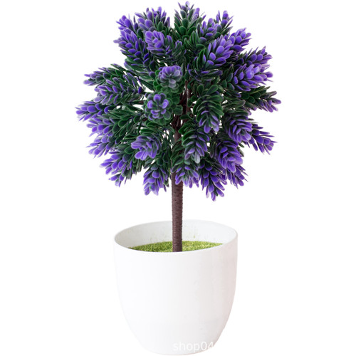 For mini pine leaf - for,