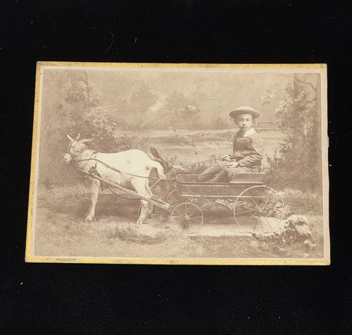 Antique cabinet card - cabinet, boy