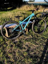 Ragley big Al 29er Mountain Bike