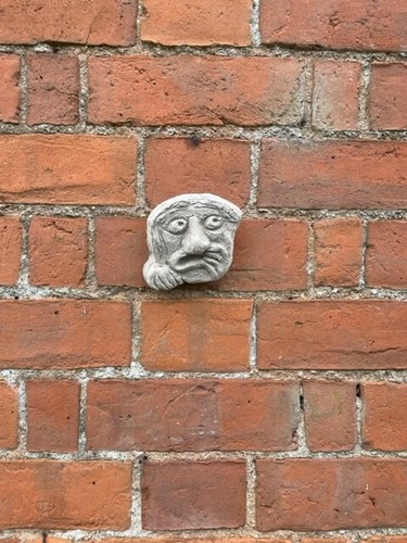 Unique grotesque head - grotesque, face