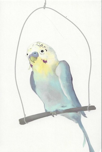 21286 postcard showing image - -,