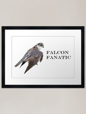 Falcon Fanatic Framed Art