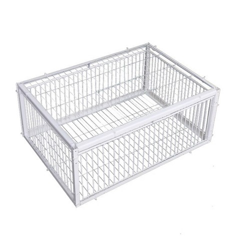 Pigeon trap cage - trap, way