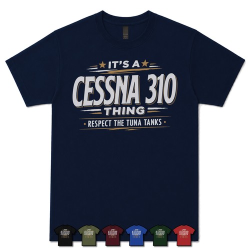 Cessna 310 thing - a,