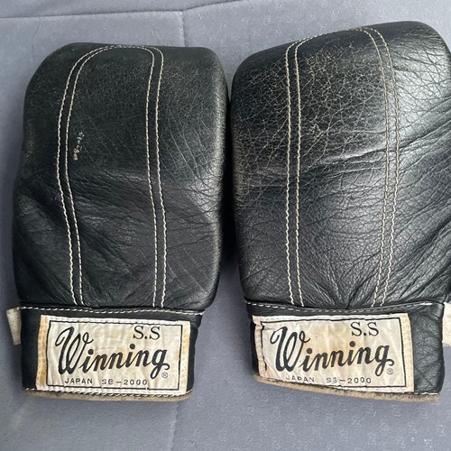 Winning boxing bag - bag, punching