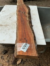 Yew plank - yew, wood,
