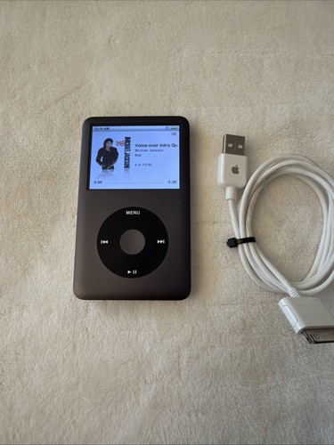 Working apple ipod - *working*,