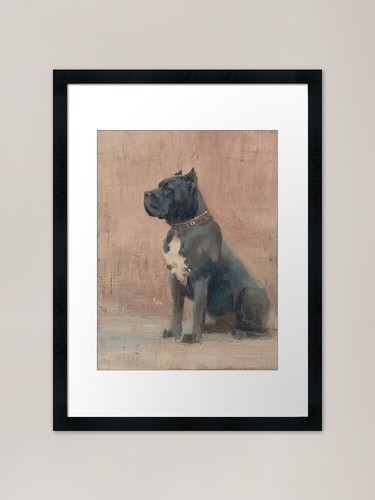 Stoic cane corso with black - cane,