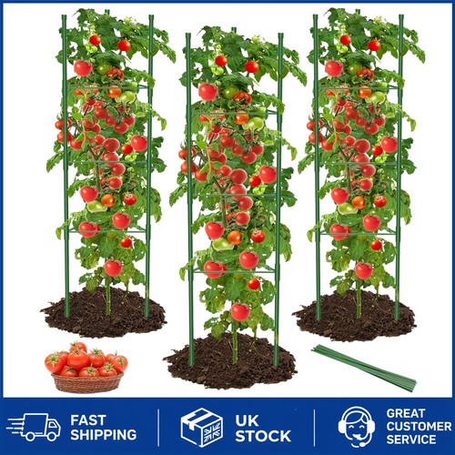 Pack large tomato cages - large,
