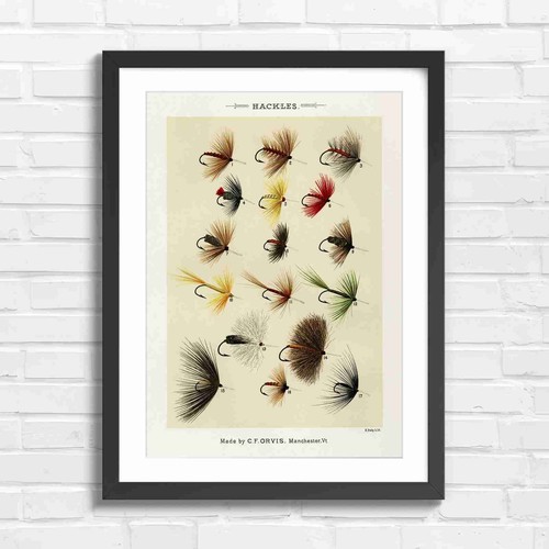 Vintage hackle fishing flies - vintage,
