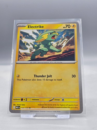 049 132 electrike - :, common