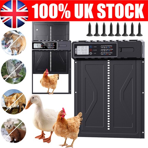 Automatic electric chicken - automatic,