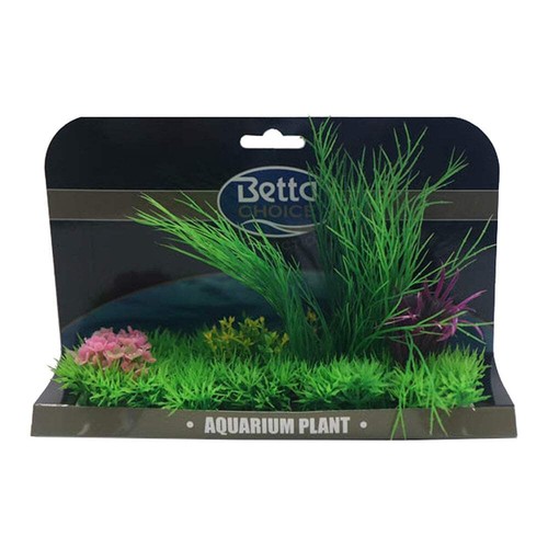 Betta choice large aquarium - choice,