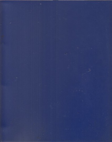 Mini 850 1000 - 850, van