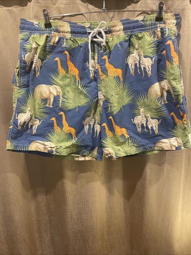 Vilebrequin mens swim - mens, 5"