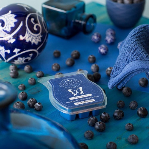 Scentsy blueberry rush - 🆕,