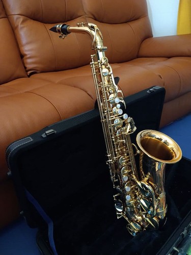 Yanagisawa aw02 professional - yanagisawa,