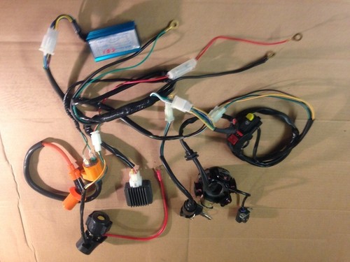 Wiring loom harness - wiring, electric