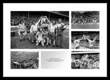 Southampton 1976 FA Cup Final