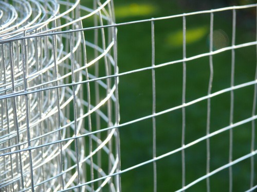 Galvanized wire mesh 1 - 1", 1"
