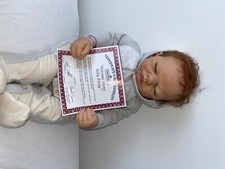Superb Ashton Drake 'Welcome Home, Baby Emily' Linda Webb So Truly Real Doll