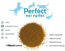 Coppens Advance 1mm sinking Fry Food  High Protein 56%