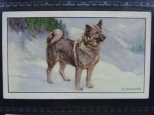 THE ELKHOUND Dogs 'A' Series by Gallaher Ltd 1936