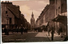 Horse carts high street - horse,