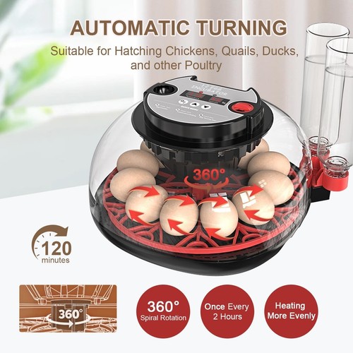Eggs egg incubator - 12,
